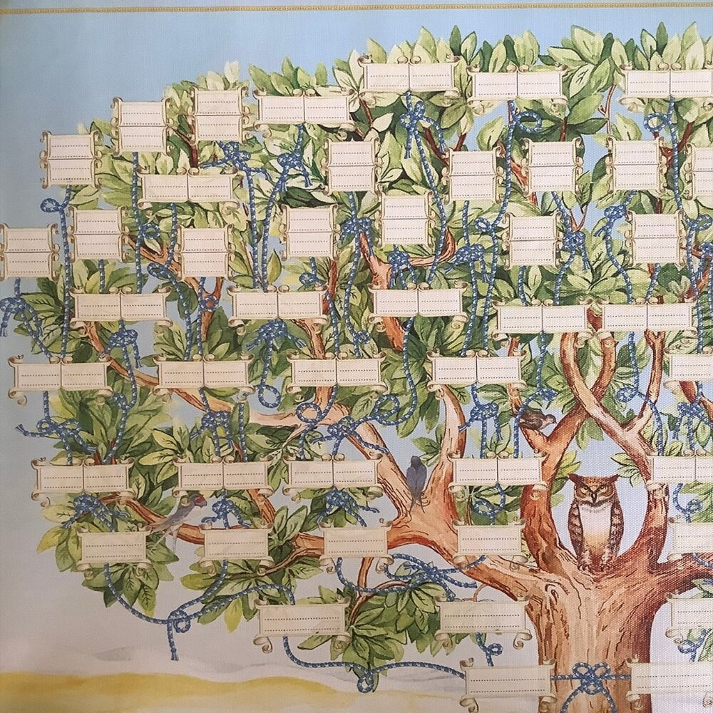 NWOT Genealogy / Family Tree Writable Paper Wall Chart - Picture 3 of 6